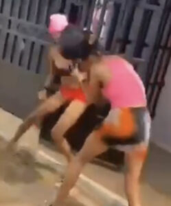 Two Imo girls fight and goes nude over a man