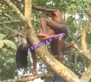 Exposed- sex on the tree in naija