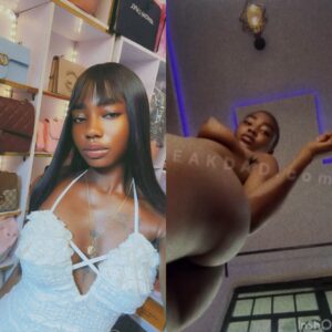 Naija new leak sextapes- Lagos handbag vendor sent nude to client husband