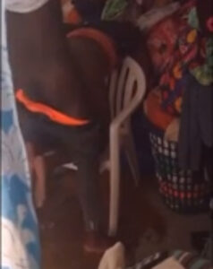 African black teen leak tapes- zeituni abdhallah masturbate her pussy