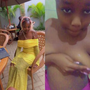 Private sex African naija homemade video-